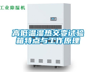 常見問題高低溫濕熱交變試驗(yàn)箱特點(diǎn)與工作原理