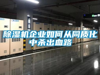 常見問題除濕機(jī)企業(yè)如何從同質(zhì)化中殺出血路