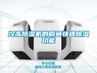 行業(yè)新聞冷凍除濕機的瞬間快速除濕功能