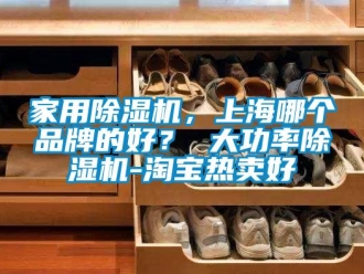 企業(yè)新聞家用除濕機，上海哪個品牌的好？ 大功率除濕機-淘寶熱賣好