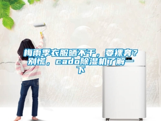 行業(yè)新聞梅雨季衣服曬不干，要裸奔？別慌，cado除濕機(jī)了解一下