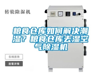 企業(yè)新聞糧食倉庫如何解決潮濕？糧食倉庫去濕空氣除濕機(jī)