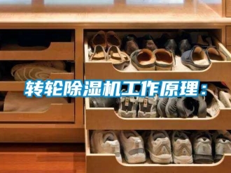 常見問題轉輪除濕機工作原理：