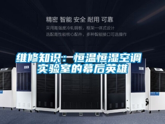 知識百科維修知識：恒溫恒濕空調(diào) 實驗室的幕后英雄