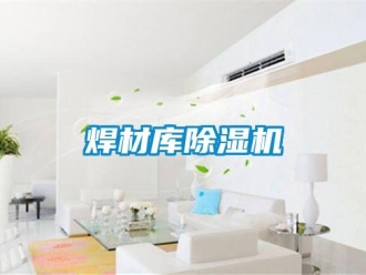 行業(yè)新聞焊材庫除濕機