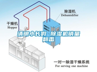 行業(yè)新聞清明小長假 除濕機(jī)銷量翻番