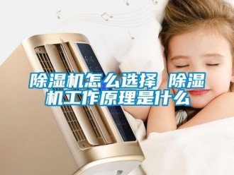 行業(yè)新聞除濕機怎么選擇 除濕機工作原理是什么