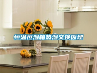 知識(shí)百科恒溫恒濕箱熱濕交換原理