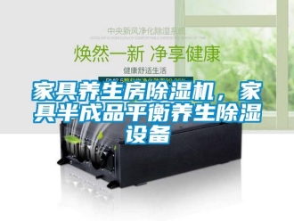 行業(yè)新聞家具養(yǎng)生房除濕機(jī)，家具半成品平衡養(yǎng)生除濕設(shè)備