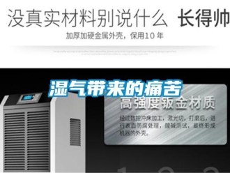 知識(shí)百科濕氣帶來的痛苦