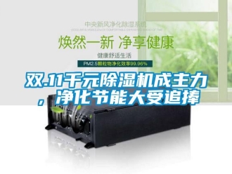 行業(yè)新聞雙.11千元除濕機(jī)成主力，凈化節(jié)能大受追捧