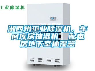 常見問(wèn)題湘西州工業(yè)除濕機(jī)，車間庫(kù)房抽濕機(jī)  配電房地下室抽濕器