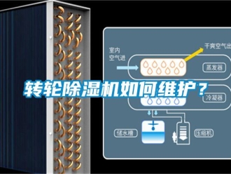常見問題轉輪除濕機如何維護？