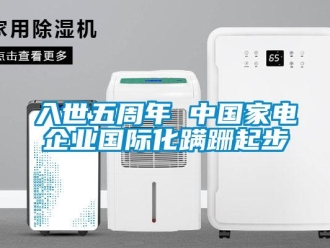 行業(yè)新聞入世五周年 中國(guó)家電企業(yè)國(guó)際化蹣跚起步