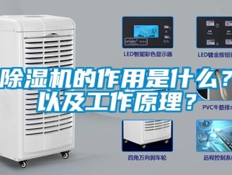 企業(yè)新聞除濕機的作用是什么？以及工作原理？