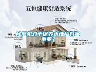 行業(yè)新聞除濕機對于保養(yǎng)木地板有多重要？