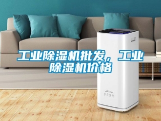 常見(jiàn)問(wèn)題工業(yè)除濕機(jī)批發(fā)，工業(yè)除濕機(jī)價(jià)格