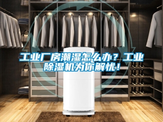 常見問題工業(yè)廠房潮濕怎么辦？工業(yè)除濕機為你解憂！