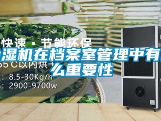 行業(yè)新聞除濕機(jī)在檔案室管理中有什么重要性