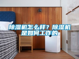 行業(yè)新聞除濕機怎么樣？除濕機是如何工作的