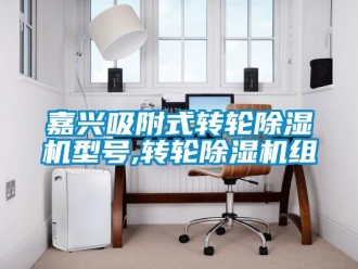常見問題嘉興吸附式轉(zhuǎn)輪除濕機型號,轉(zhuǎn)輪除濕機組