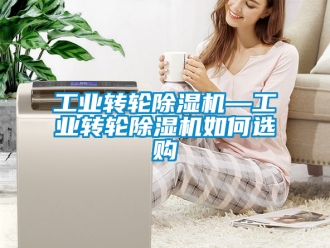 常見問題工業(yè)轉(zhuǎn)輪除濕機(jī)—工業(yè)轉(zhuǎn)輪除濕機(jī)如何選購