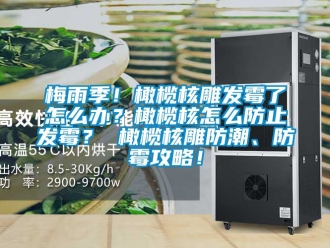 常見問題梅雨季！橄欖核雕發(fā)霉了怎么辦？橄欖核怎么防止發(fā)霉？ 橄欖核雕防潮、防霉攻略！