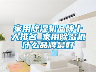 企業(yè)新聞家用除濕機品牌十大排名_家用除濕機什么品牌最好