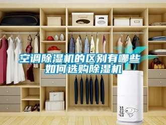 行業(yè)新聞空調(diào)除濕機(jī)的區(qū)別有哪些 如何選購除濕機(jī)