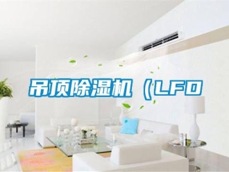 行業(yè)新聞吊頂除濕機（LFD