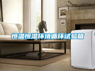 知識(shí)百科恒溫恒濕環(huán)境循環(huán)試驗(yàn)箱