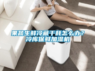 常見(jiàn)問(wèn)題果蔬生鮮冷藏干耗怎么辦？冷庫(kù)保鮮加濕機(jī)
