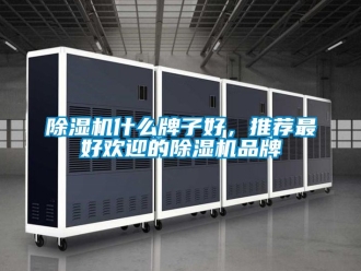 企業(yè)新聞除濕機(jī)什么牌子好，推薦最好歡迎的除濕機(jī)品牌