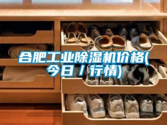 常見問題合肥工業(yè)除濕機價格(今日／行情)