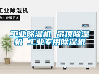 常見問題工業(yè)除濕機 吊頂除濕機 工業(yè)專用除濕機