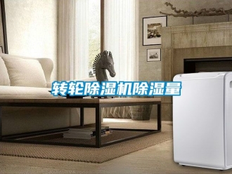 常見問題轉(zhuǎn)輪除濕機除濕量