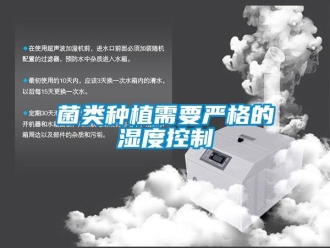 行業(yè)新聞菌類(lèi)種植需要嚴(yán)格的濕度控制