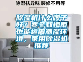 常見問題除濕機什么牌子好？寒冬和梅雨也能遠離潮濕環(huán)境，家用除濕機推薦