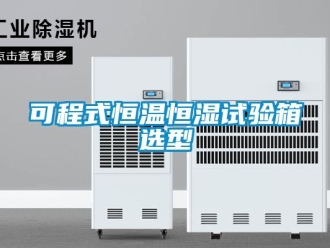 知識(shí)百科可程式恒溫恒濕試驗(yàn)箱選型