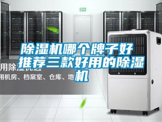 行業(yè)新聞除濕機(jī)哪個牌子好 推薦三款好用的除濕機(jī)