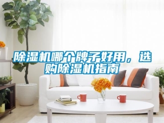 行業(yè)新聞除濕機(jī)哪個(gè)牌子好用，選購(gòu)除濕機(jī)指南