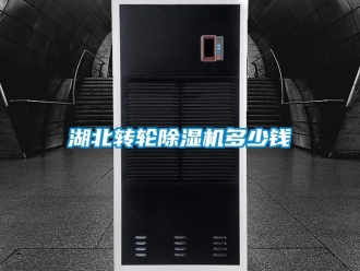 常見問題湖北轉(zhuǎn)輪除濕機多少錢