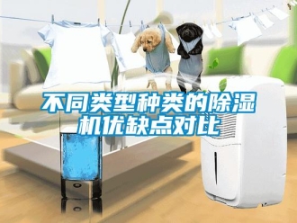 常見(jiàn)問(wèn)題不同類型種類的除濕機(jī)優(yōu)缺點(diǎn)對(duì)比