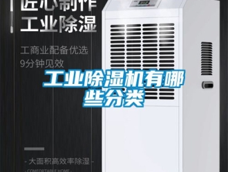 常見問題工業(yè)除濕機有哪些分類
