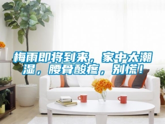 行業(yè)新聞梅雨即將到來，家中太潮濕，腰骨酸疼，別慌！
