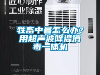 常見問題牲畜中暑怎么辦？用超聲波降溫消毒一體機