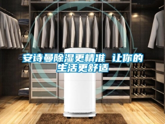 企業(yè)新聞安詩曼除濕更精準 讓你的生活更舒適