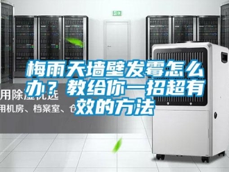 常見(jiàn)問(wèn)題梅雨天墻壁發(fā)霉怎么辦？教給你一招超有效的方法