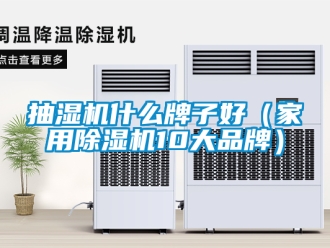 企業(yè)新聞抽濕機(jī)什么牌子好（家用除濕機(jī)10大品牌）