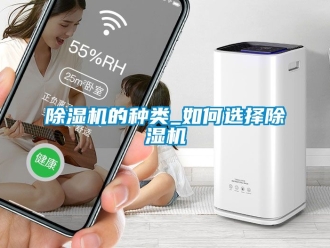 企業(yè)新聞除濕機的種類_如何選擇除濕機
